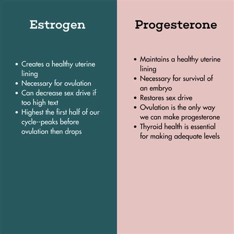 Understanding Estrogen & Progesterone | Hormone Healing RD