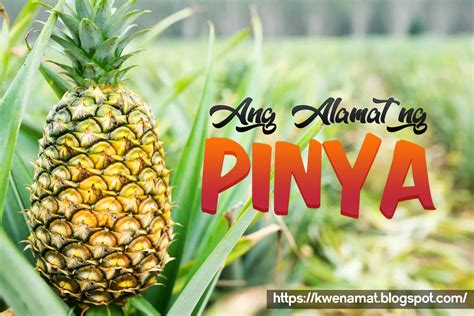 Ang Alamat ng Pinya