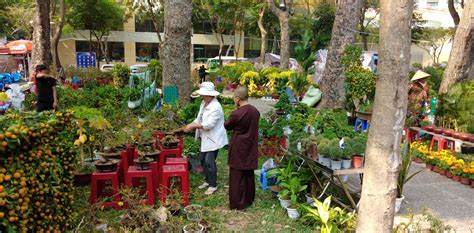 Free Images : vietnam, saigon, ho chi ming city, flowers, market, botany, botanical garden ...