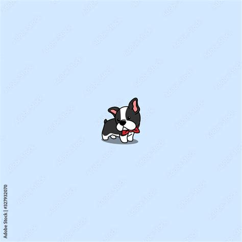 Cute boston terrier puppy cartoon icon, vector illustration Stock ...