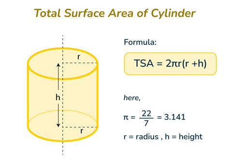 Surface Area of Cylinder | Curved and Total Surface Area of Cylinder