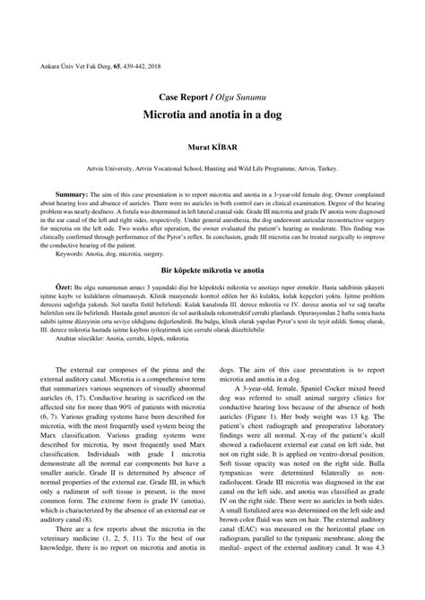 (PDF) Microtia and anotia in a dog