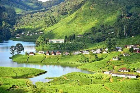 2N 3Days Exotic Munnar – Indus Traveller