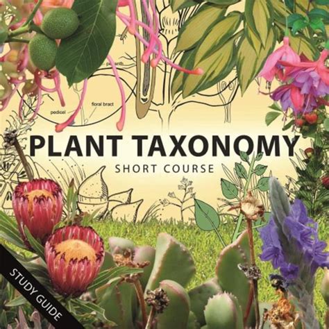 Plant Taxonomy | Botany | Understand all about Plants