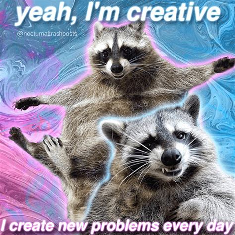 This Instagram Account Delivers The Best Raccoon Memes