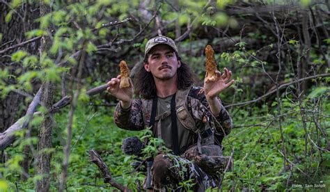 Where to Find Morel Mushrooms on a Map | onX Hunt