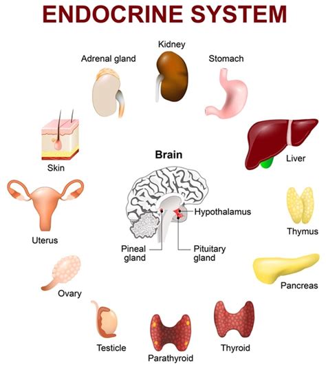 Pediatric Endocrinologist - Thailand Medical News