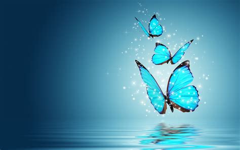 HD Mariposas Wallpapers Peakpx, 41% OFF