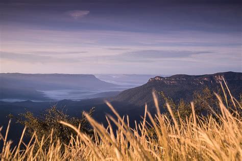 Blue Mountains Landscape Design — New Terrain Landscape Design - Blue ...