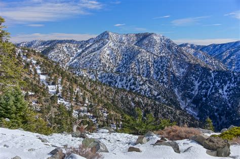 Angeles National Forest, CA: Endless Snowshoeing Opportunities