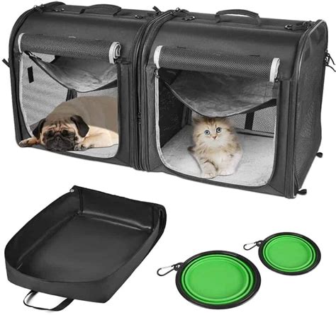 The Best Cat Carrier for Two Cats: 7 Top Picks - Travel Tabby