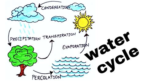 Water cycle/ how to draw water cycle/diagram of water cycle/easy water ...