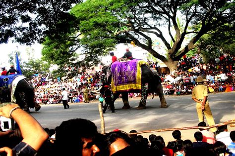 Mysore Dasara Festival 2024 - Shikhar Travels