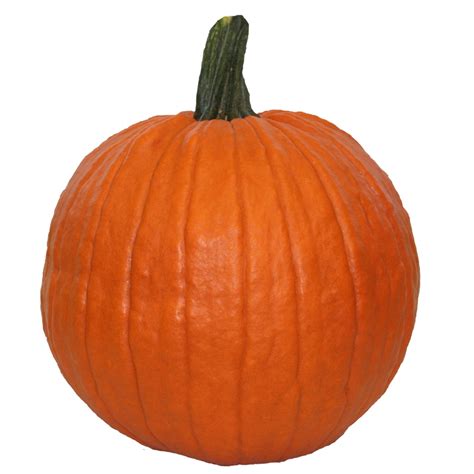 Orange Medium Carving Pumpkin at Lowes.com