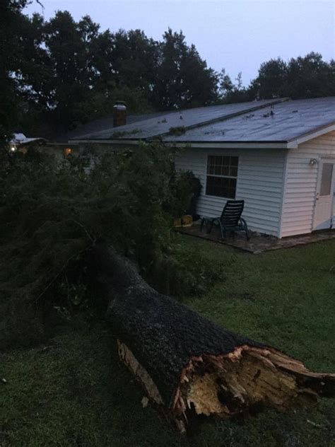 PHOTO GALLERY: Hurricane Hermine damage | Plant City Observer