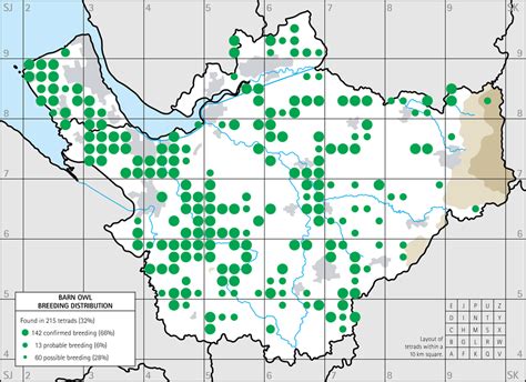 Barn Owl breeding distribution maps