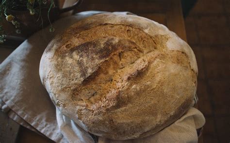 The Best Sourdough Bread Machine Recipe