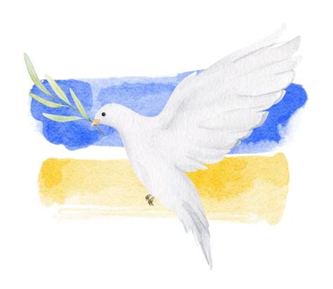 350+ Peace Dove Watercolor Stock Photos, Pictures & Royalty-Free Images - iStock