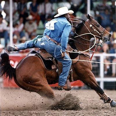 What a great shot of Fred Whitfield! | Roping horse, Rodeo life, Rodeo cowboys