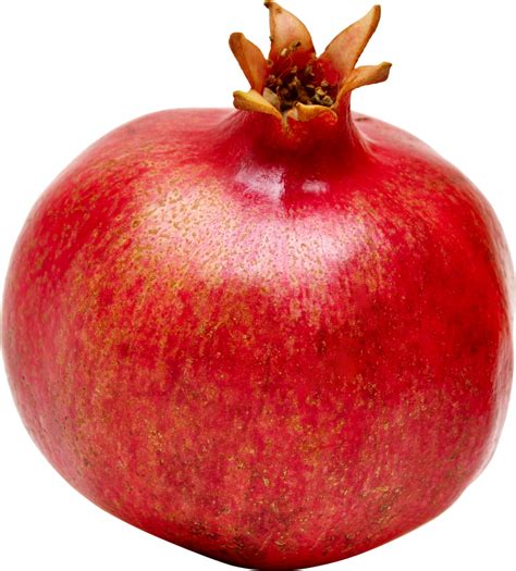 Pomegranate Png Image Purepng Free Transparent Cc0 Png Image Library | Images and Photos finder