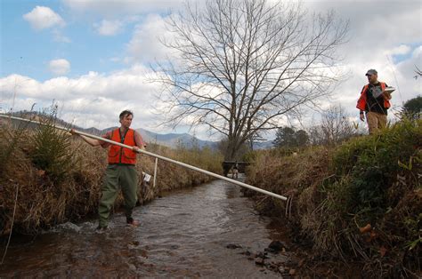 Study: Mountain spring water isn’t as clean as you think it is ...