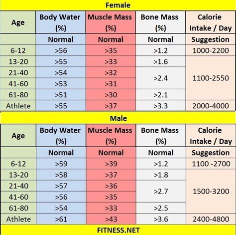 잠재된 골격근량은 얼마인지 알아보자! - 골격근량 계산기(skeletal muscle mass calculator) : 네이버 블로그