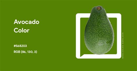 Avocado color hex code is #568203