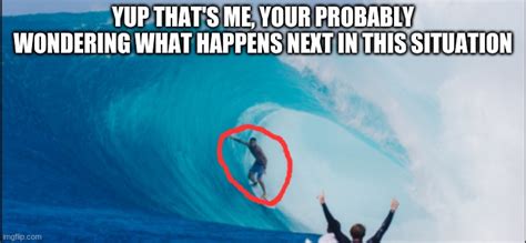 surfing Memes & GIFs - Imgflip