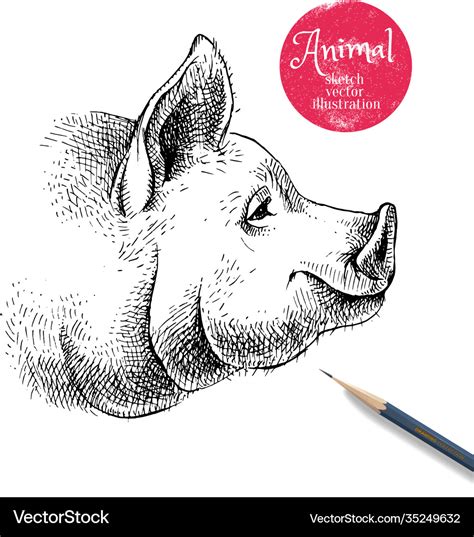 Hand drawn sketch pig head isolated profile Vector Image