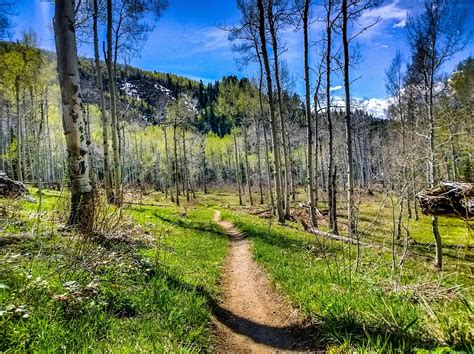 Spring Creek Trail Mountain Bike Trail in Steamboat Springs, Colorado ...