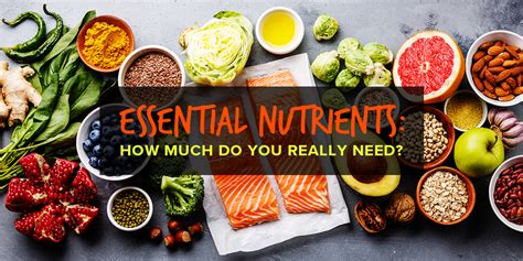 Essential Nutrients: What Are They & How Much Do You Need?