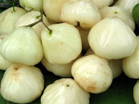 Jamrul - Tere Fruit