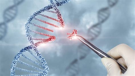 More Evidence That the "Junk" DNA Argument Is Junk - Apologetics Press