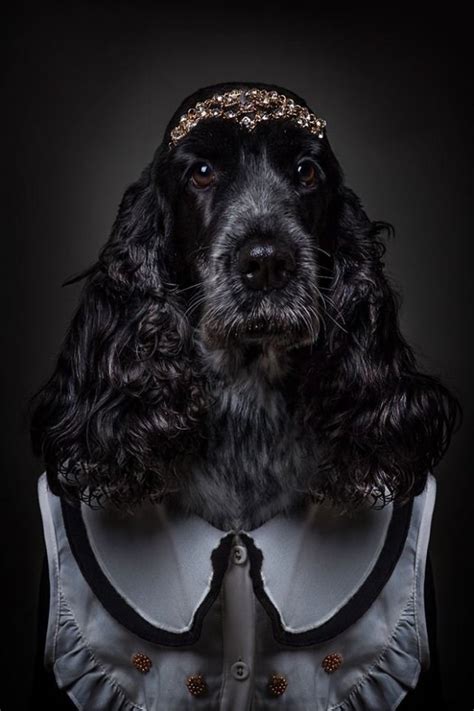 14 Photos Of Dogs Dressed In Human Clothing Based On Their Personalities - I Can Has Cheezburger ...