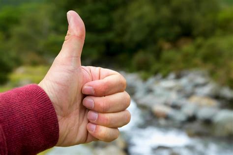 hand showing thumbs up gesture 3595219 Stock Photo at Vecteezy