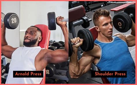 Arnold Press vs. Shoulder Press: Variations, Professionals, Cons - foppa.casa