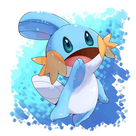 Mudkip by Plattyneko on DeviantArt