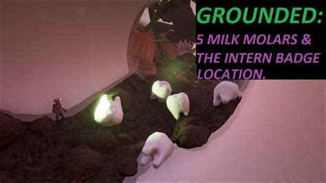 Grounded Game Milk Molar Map