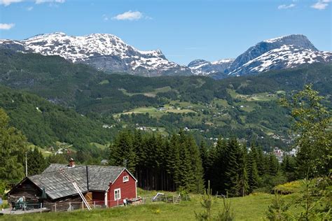 Peter's Cruises: Ulvik, Norway