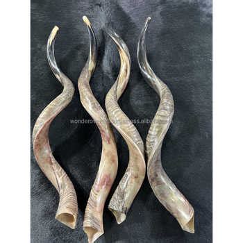 Shofar / Kudu / Ram Horn / Polished Shofar By Wonder Overseas - Buy ...