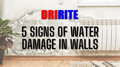 5 Signs of Water Damage in Walls | Water Damage Signs [2022 Updated]