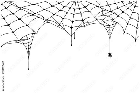 Scary spider web background. Cobweb background with spider. Spooky ...