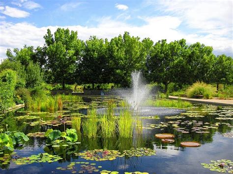 Denver Botanic Gardens – Denver, CO | Wildlife Plant Attraction