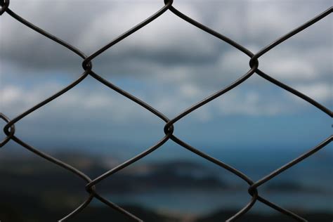 Black Microphone Windscreen · Free Stock Photo