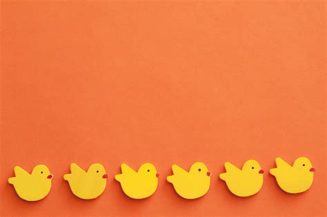 Background composed of a row of yellow chicks Creative Commons Stock Image