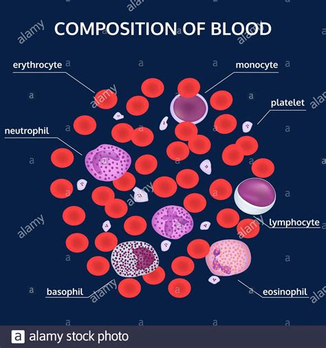 Platelets microscope hi-res stock photography and images - Alamy