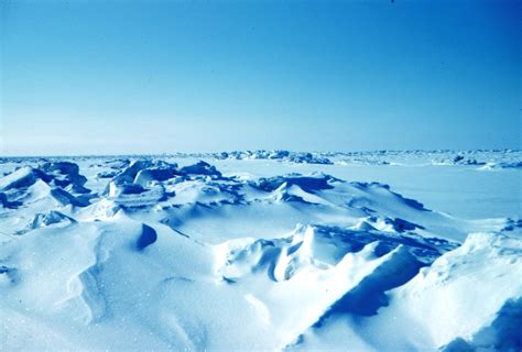 File:Sea ice terrain.jpg - Wikipedia