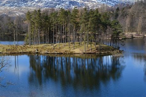 Tarn Hows - An Icon Of The Lakes | BaldHiker