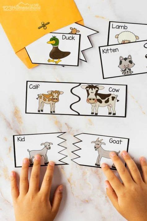 7 Baby Animal Lesson Ideas in 2021 | animal lessons, preschool ...