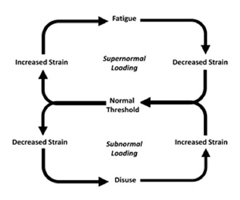 [DIAGRAM] Block Diagram Negative Feedback Control System - MYDIAGRAM.ONLINE